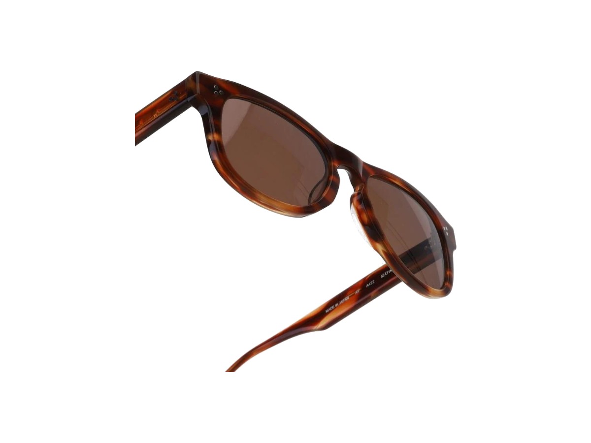A4 422 TORTOISE BROWN vista 5