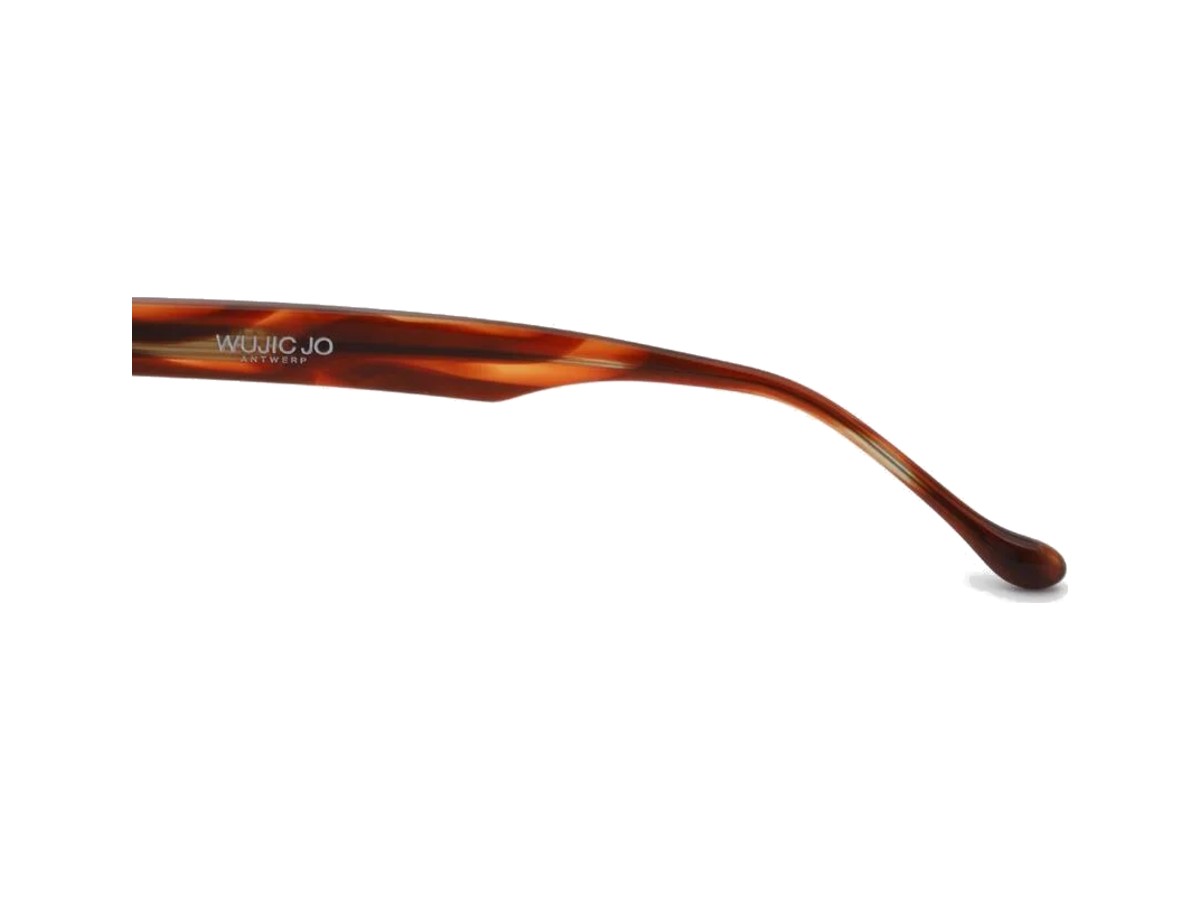A4 422 TORTOISE BROWN vista 6