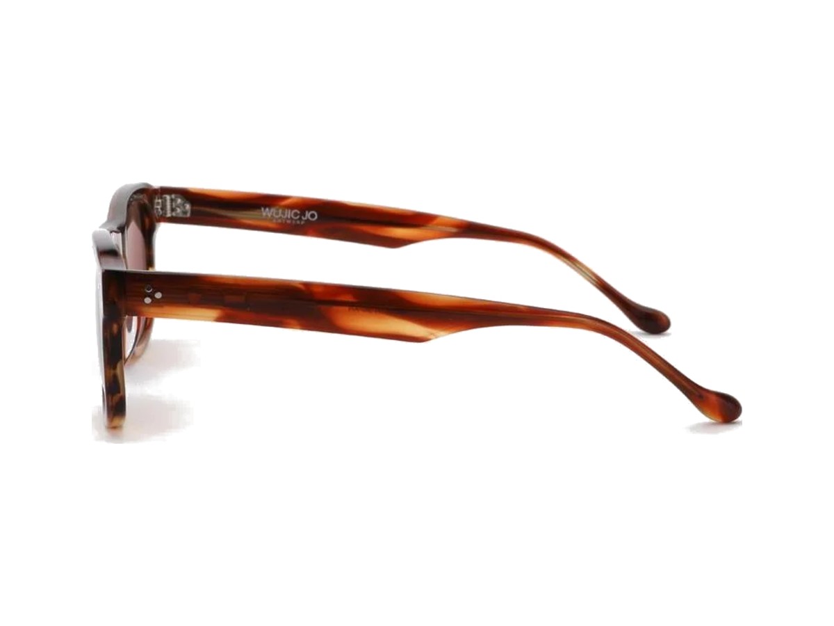A4 422 TORTOISE BROWN vista 7
