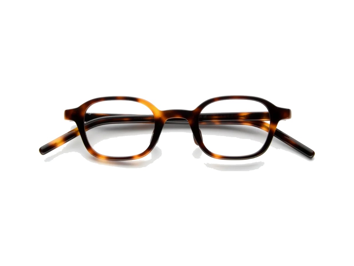 MERAKI TORTOISE CLEAR
